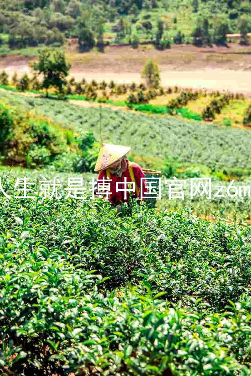 人生就是搏中国官网z6mg
