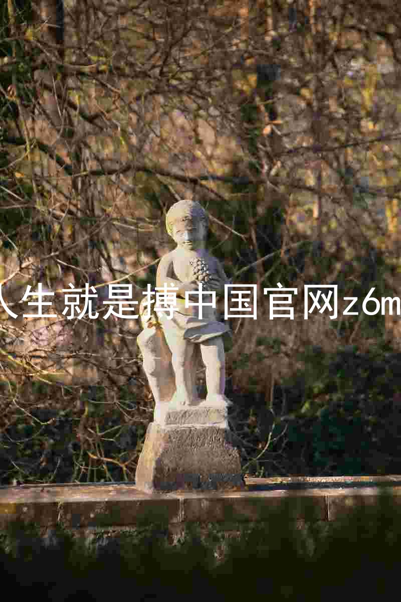 人生就是搏中国官网z6mg