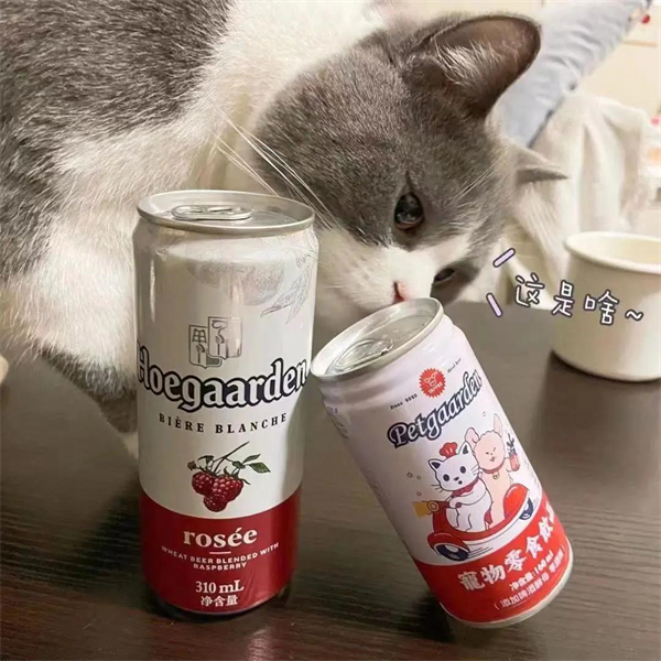 ʱ- ٷվ